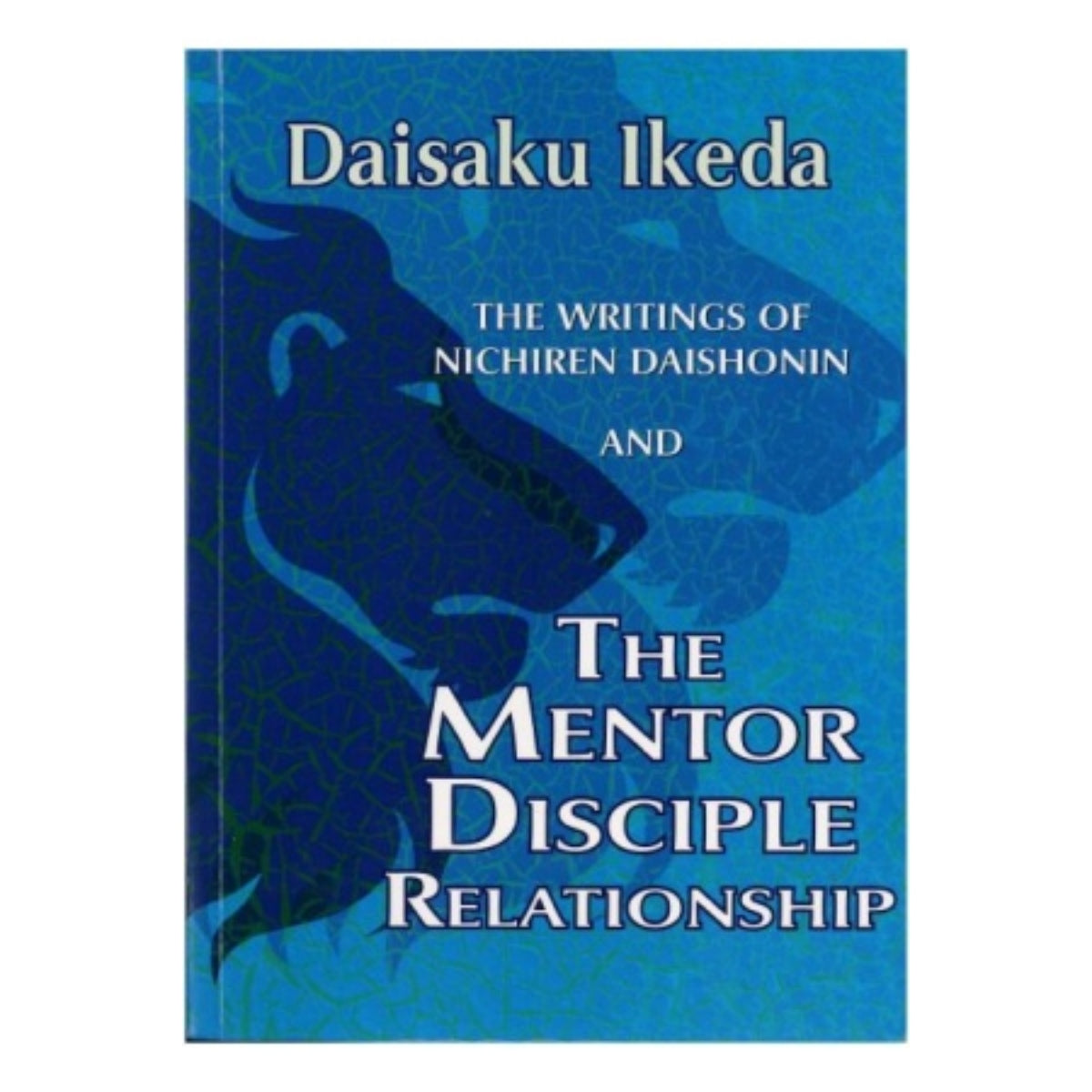 The Mentor Disciple Relationship