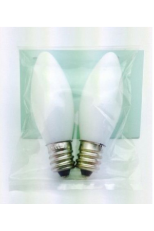 Bulb 110V (pair)